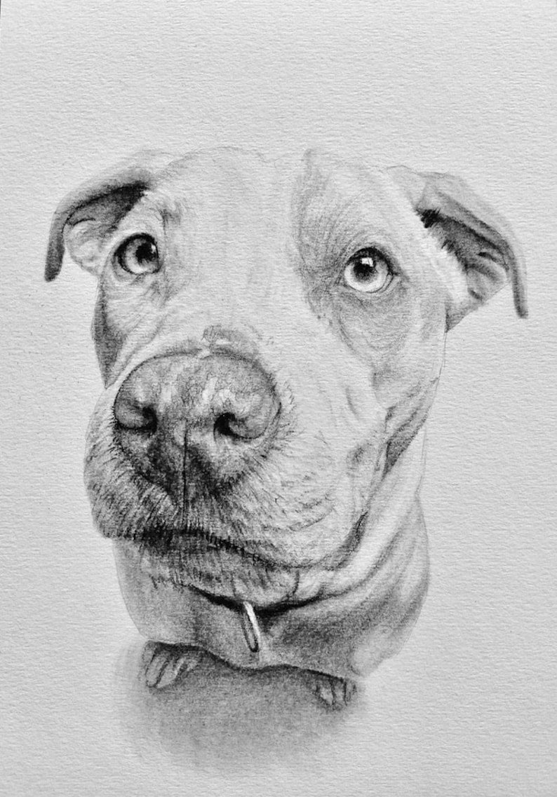 Dog Portrait Canvas - Black & White Matte Stretched Wall Art Personalized Digital Dog Portraits,Cat Portraits,Custom Dog Portraits,Custom Pet Memorial Art