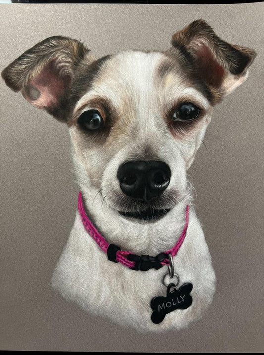 Personalized Pet Canvas Wall Art Dog picture frame-Pet portrait-Dog memorial gifts Chihuahua Portrait (Matte Stretched Canvas)